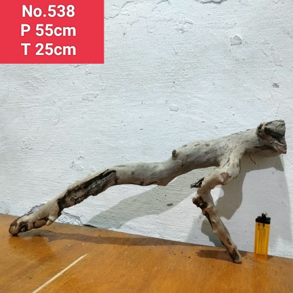 bonggolan batang kayu santigi laut akar detailing aquascape aquarium 538