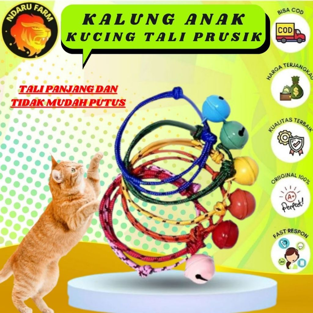Kalung Anak kucing Tali Prusik / Kalung Kucing dengan Tali Panjang dan Tidak Mudah Putus NDARUFRAM