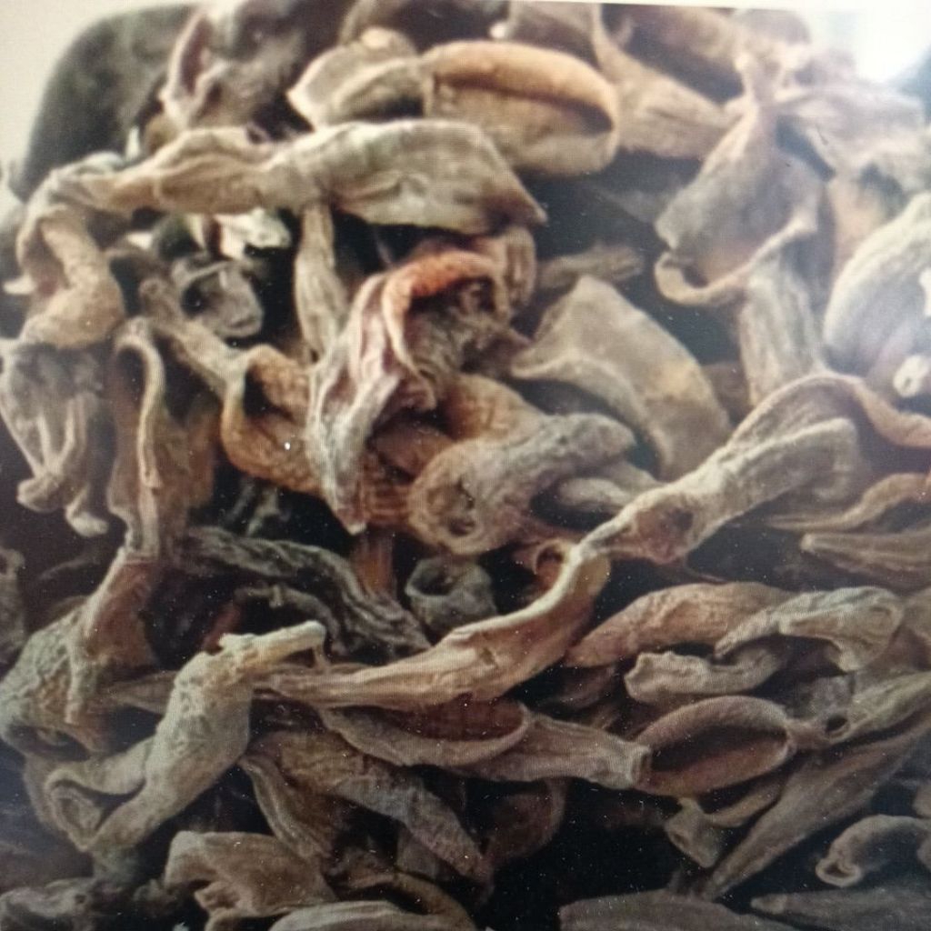 Lintah Kering untuk Kesehatan Pembuluh Darah - 37 Gram