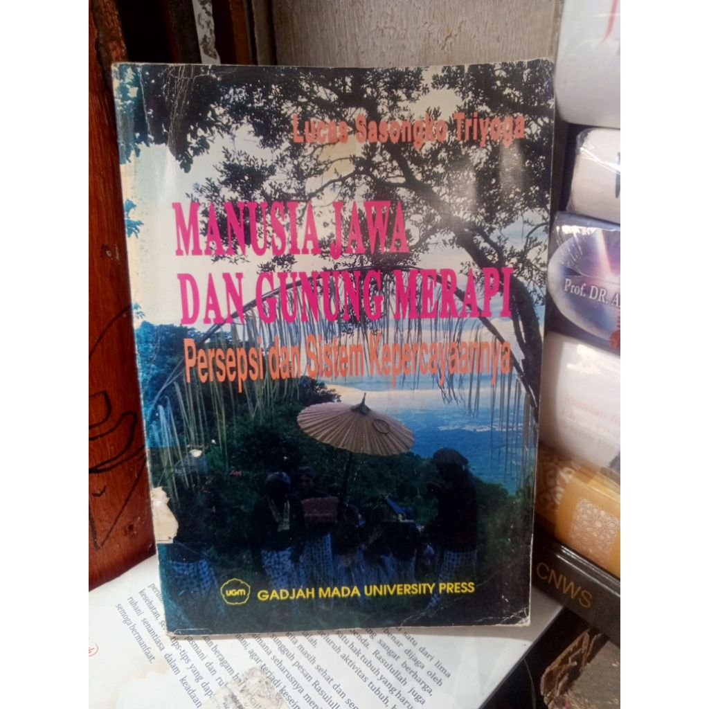 MANUSIA JAWA DAN GUNUNG MERAPI persepsi dan sistem kepercayaannya