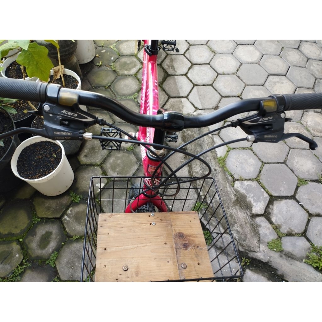 sepeda polygon impression tandem 26 inchi - 2nd