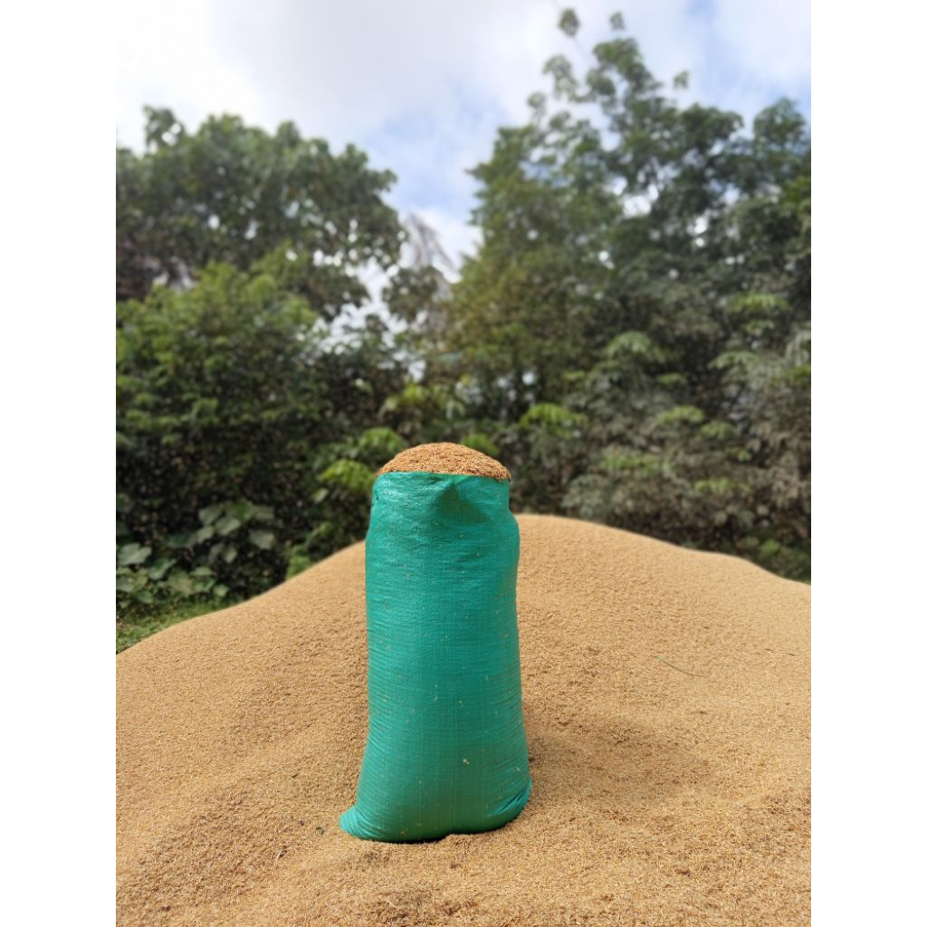 Sekam Mentah Karung 50kg - Berkualitas