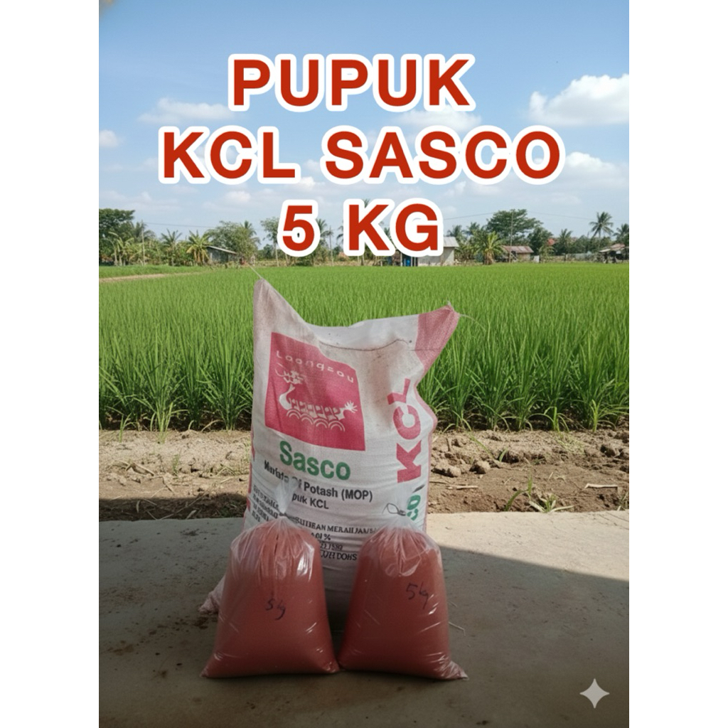 Pupuk KCL / MOP Sasco Kemasan 5 KG