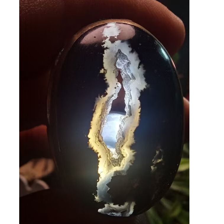 Galih Kelor Combong Serat Emas