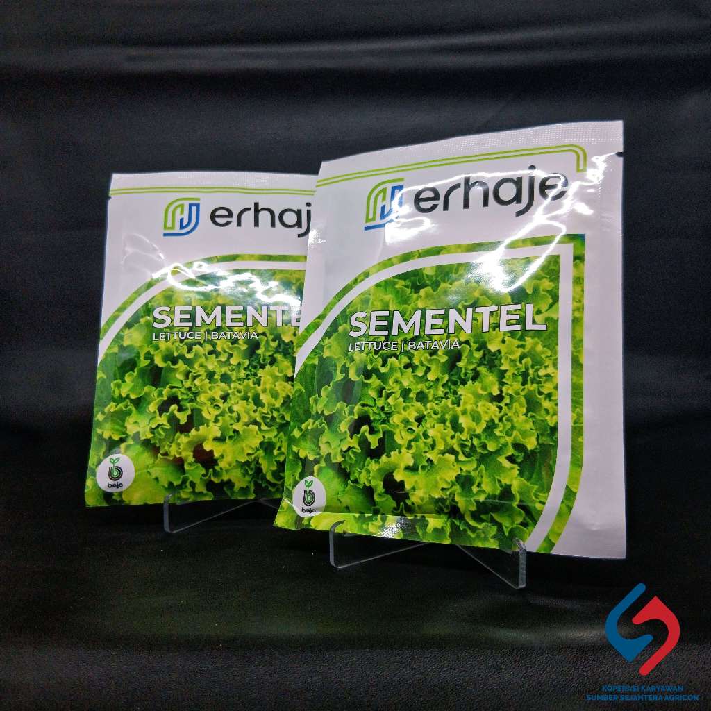 Benih Selada Sementel Batavia Erhaje Bejo 1000 Pills
