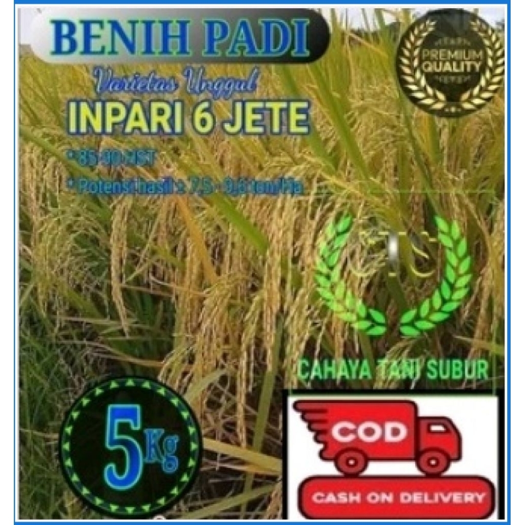 Inpari 6 Jete Benih Padi Varietas Unggul Kualitas Super (5kg)
