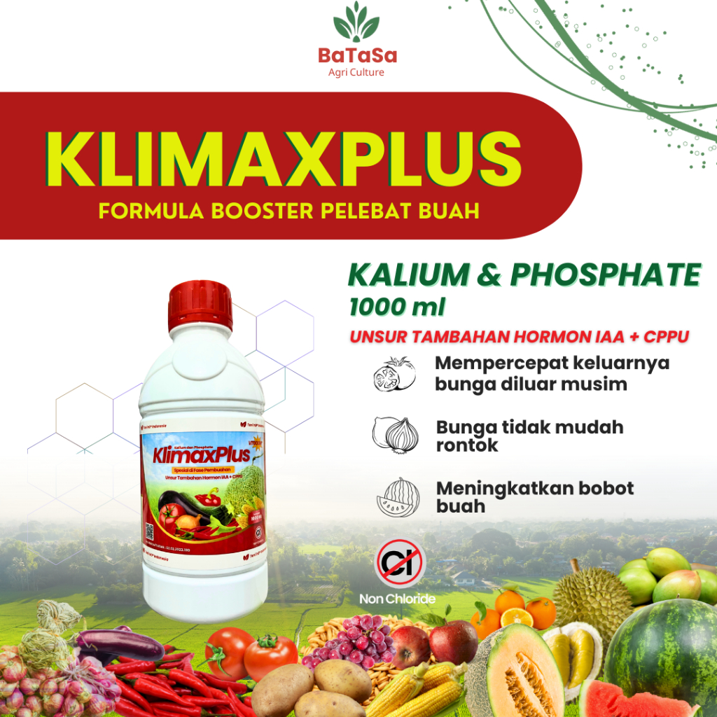 KLIMAXPLUS Kalium Pospat Hormon IAA dan CPPU Pelebat Buah Percepat Pembungaan Bunga Diluar Musim 100