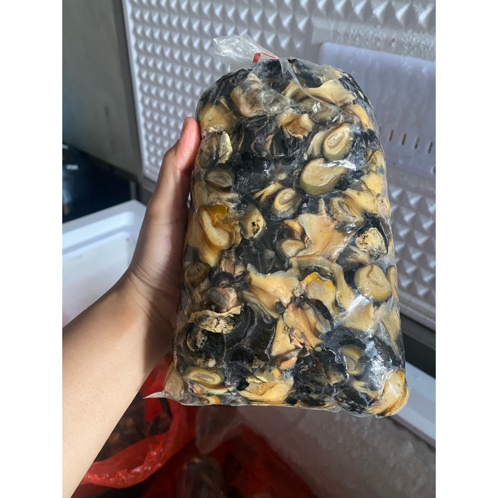 KOL SAWAH KEONG SAWAH FROZEN 1 kg