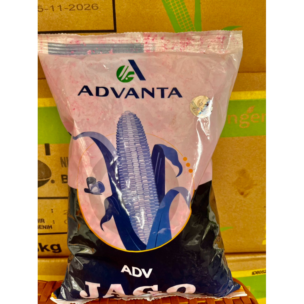 Benih Jagung ADV JAGO kemasan 1Kg(Original) Expt 09 2026. Benih Jagung Hibrida rendemen Tinggi Adv J