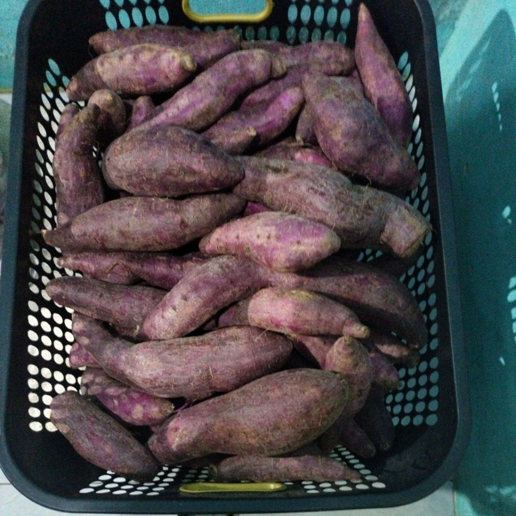 ubi ungu / ubi jalar 1kg