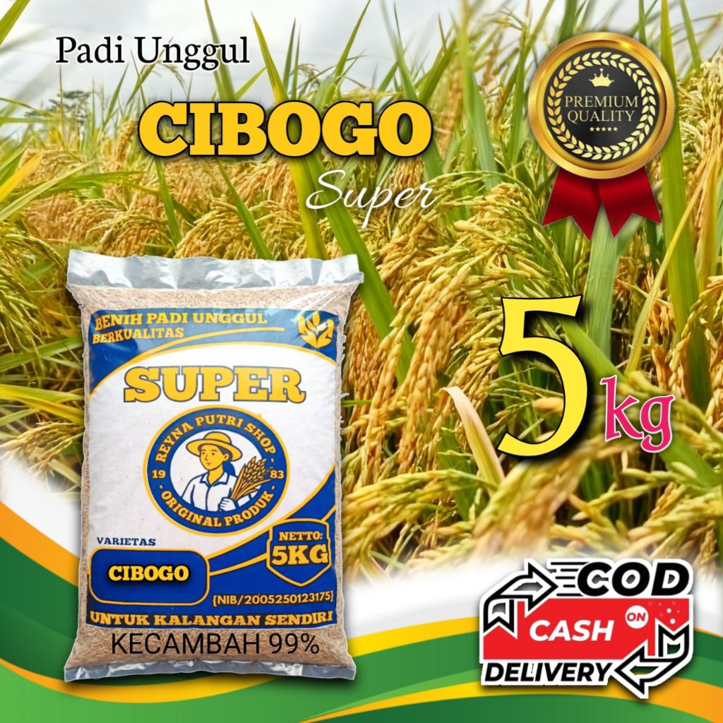 Benih padi cibogo super unggul kemasan 5kg