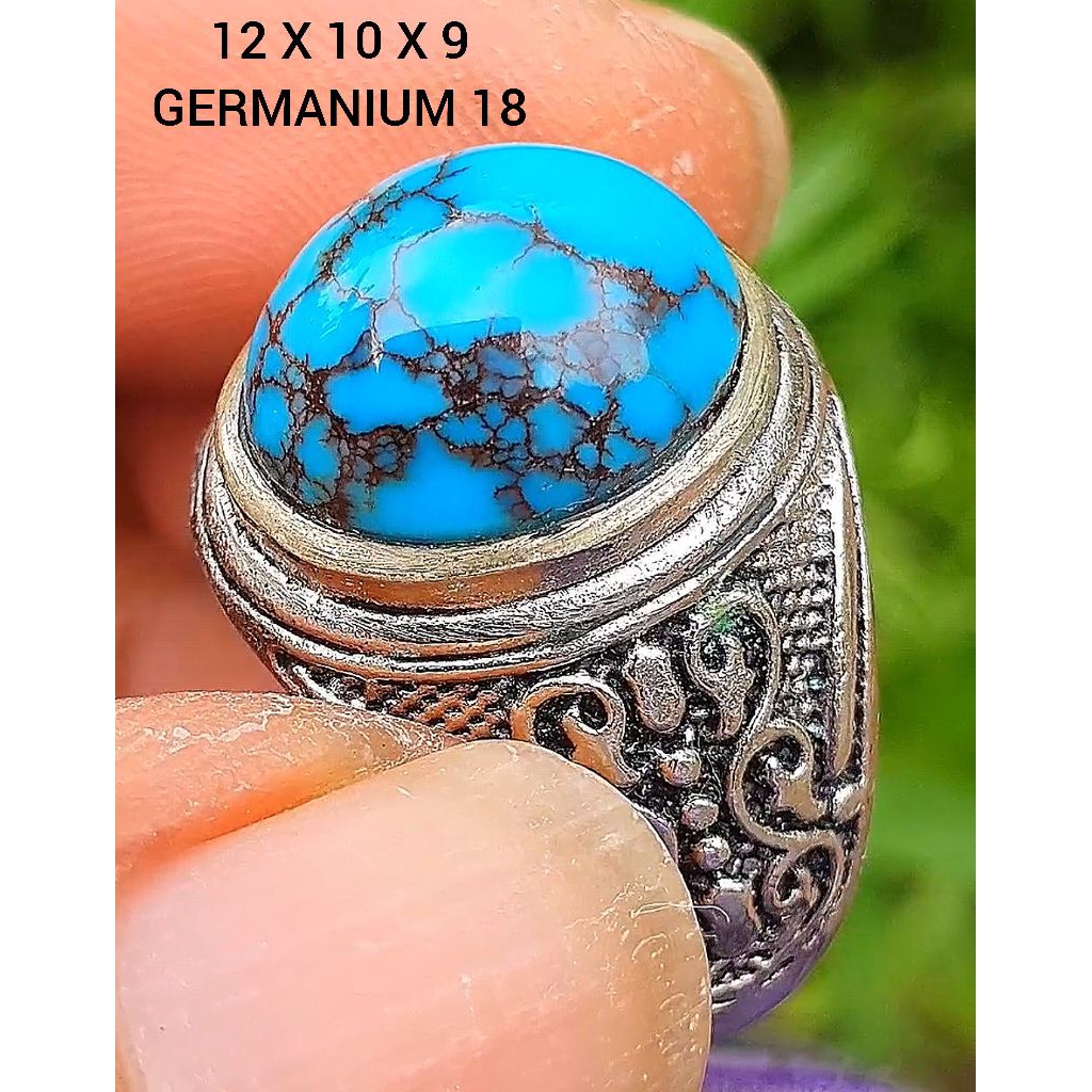 pirus mesir lawasan 264