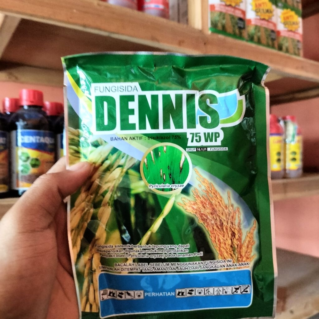 Fungisida DENNIS 75 WP – Ampuh Kendalikan Penyakit Blas Padi isi 100gr (Trisiklazol 75%)