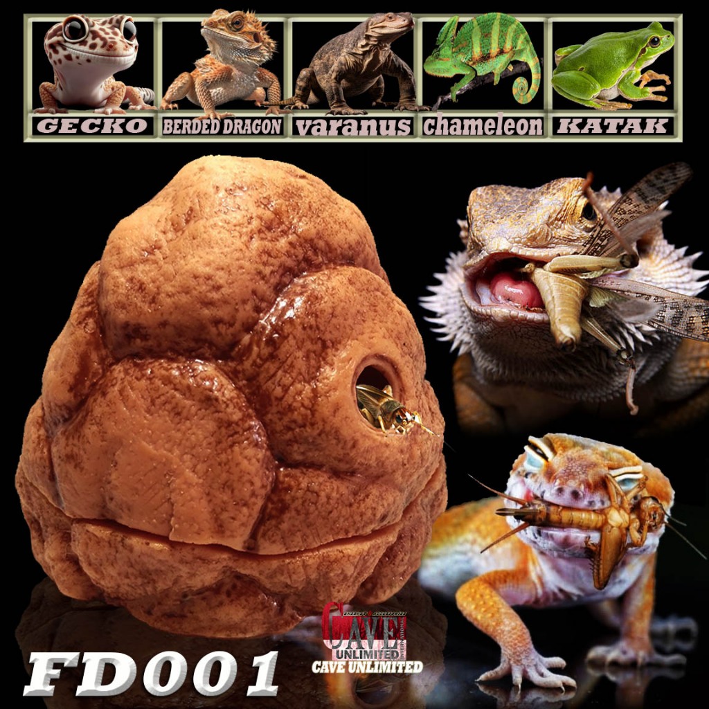 FD001 FEEDING DISH CRICKET HILL FOODDISH WADAH JANGKRIK ULAT TEMPAT MAKAN LEOPARD GECKO BEARDED DRAG