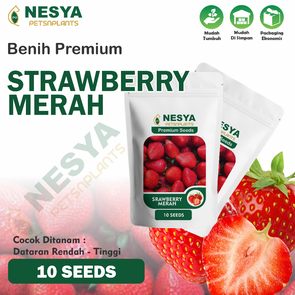 Benih Strawberry Merah Benih Biji Buah StrawBerry 10 biji Unggul Berkualitas