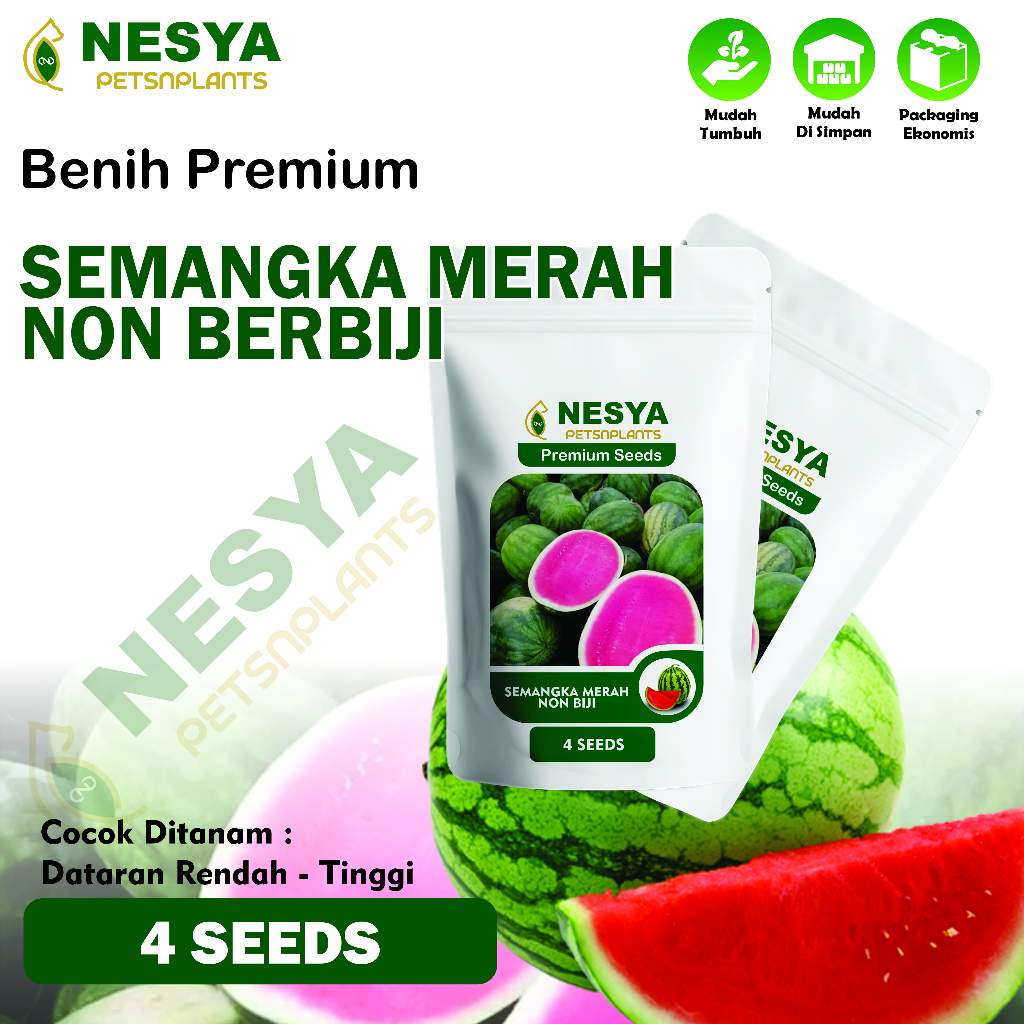 4 Benih Semangka Merah Bulat NON Biji Buah Semangka Bulat Merah Tanpa Biji