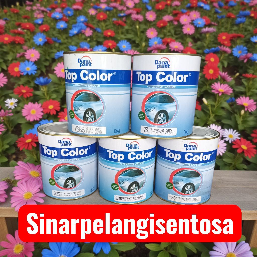 top color nc danapaint 1 kg