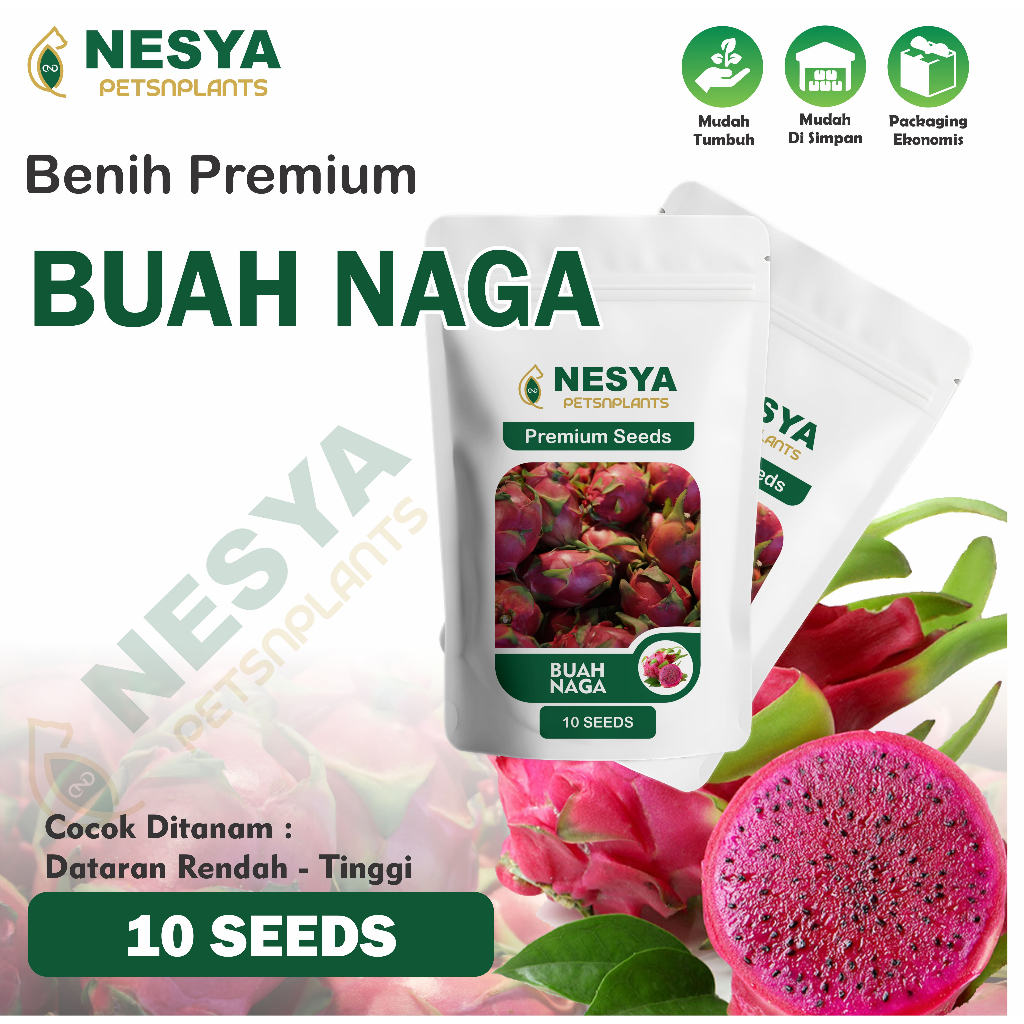 Benih Buah Naga Merah Fruit Dragon Benih Biji Buah Naga 10 Biji Unggul Berkualitas