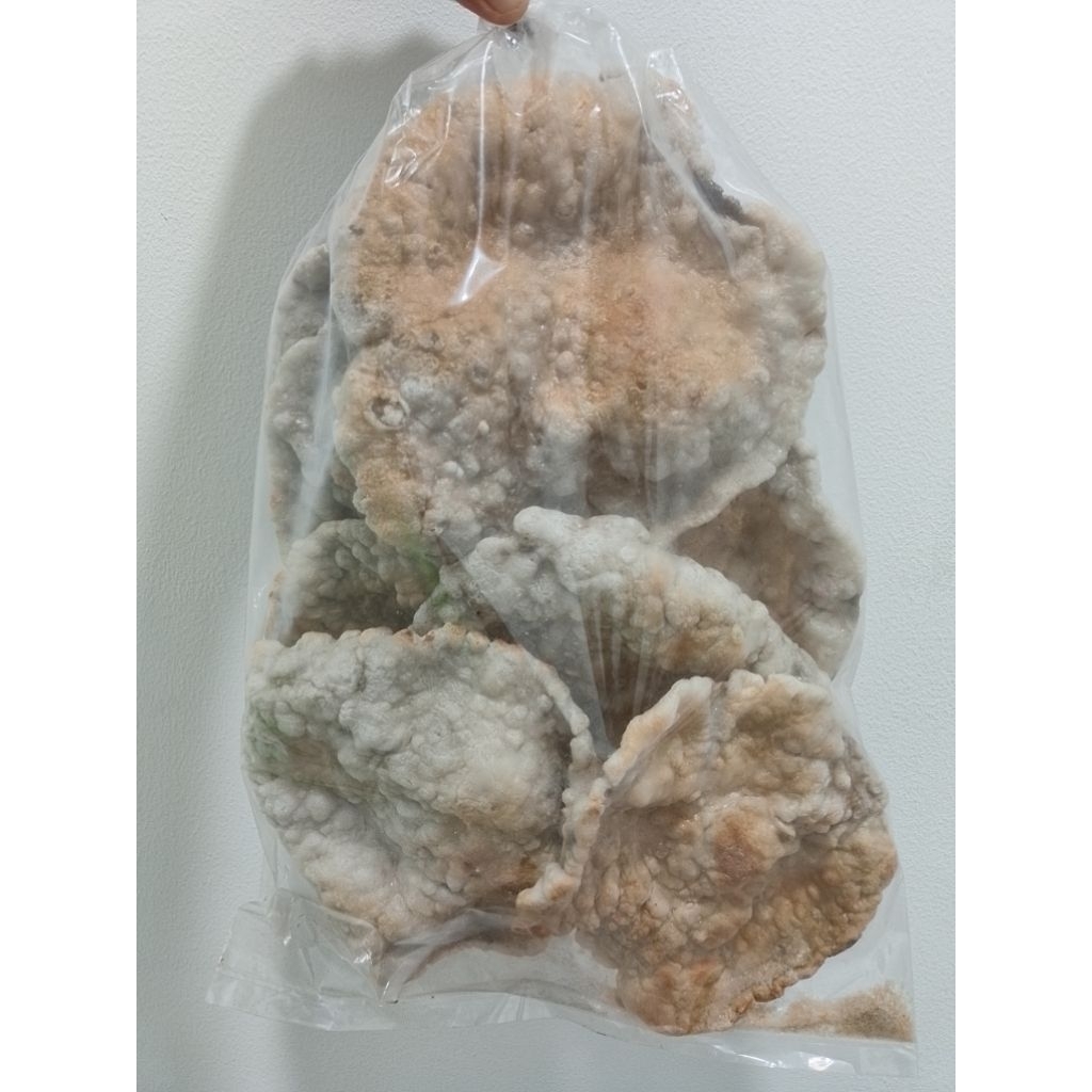 kemplang tunu khas palembang