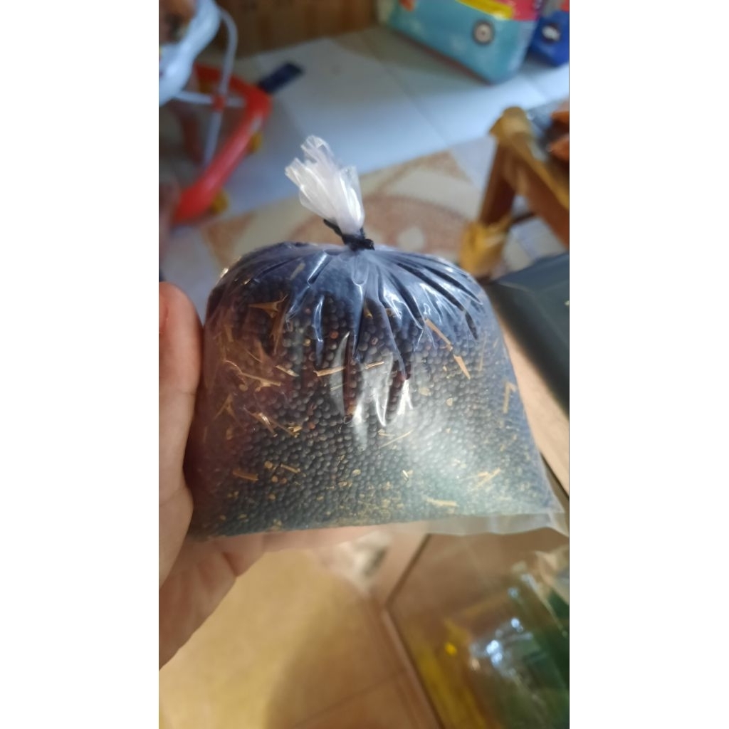 BIJI SAWI PAKAN BURUNG