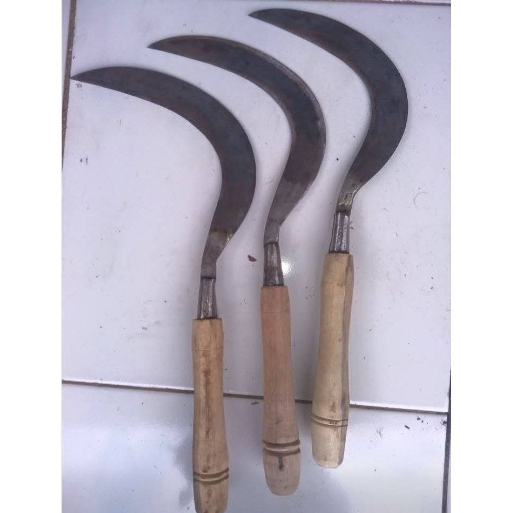 Arit Madura tebas ranting pohon