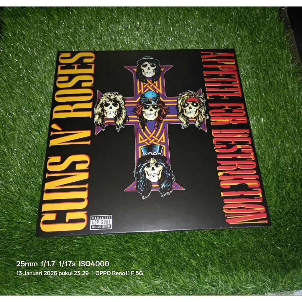 vinyl guns n roses appetite