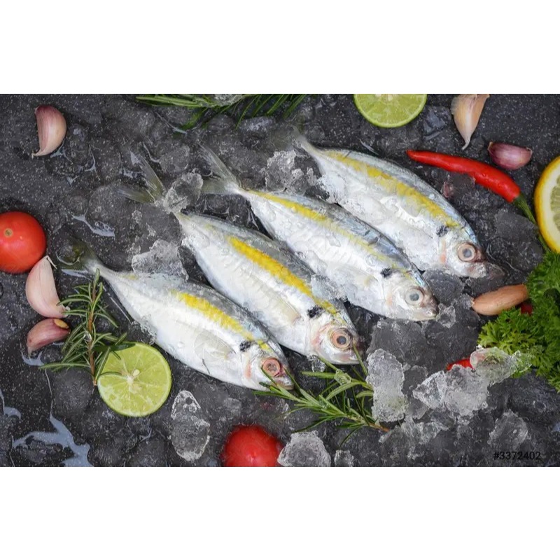 IKAN SELAR BEKU 500 GRAM