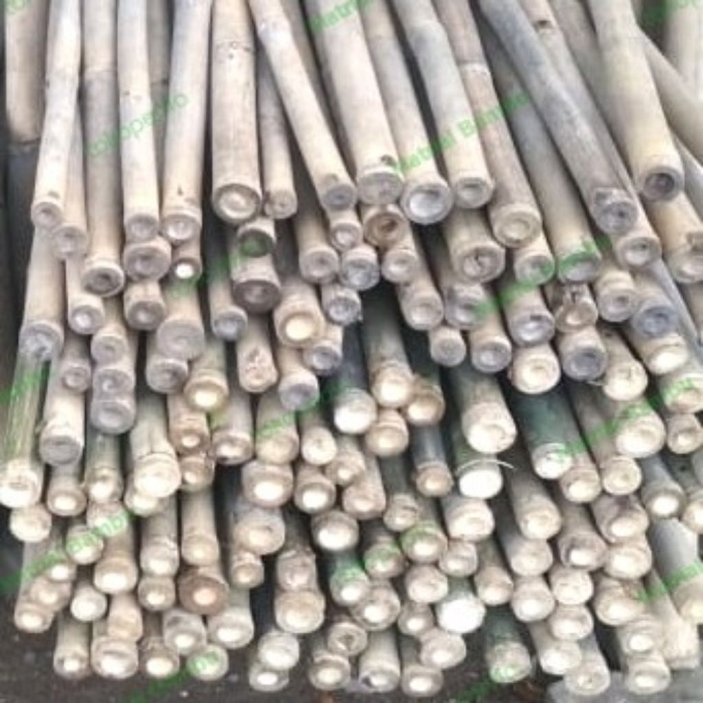 Bambu Umbul-Umbul Dan Tiang Bendera