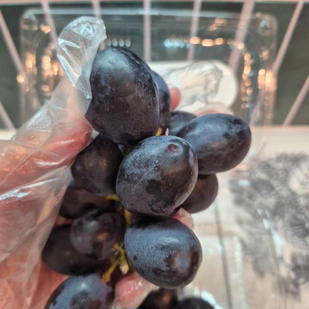 Anggur Hitam manis garing non seedless
