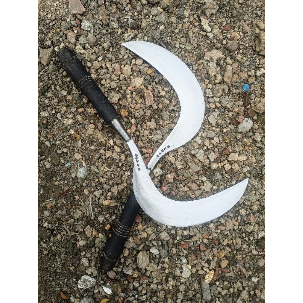 sabit rumput baja bintang lima  khas madura