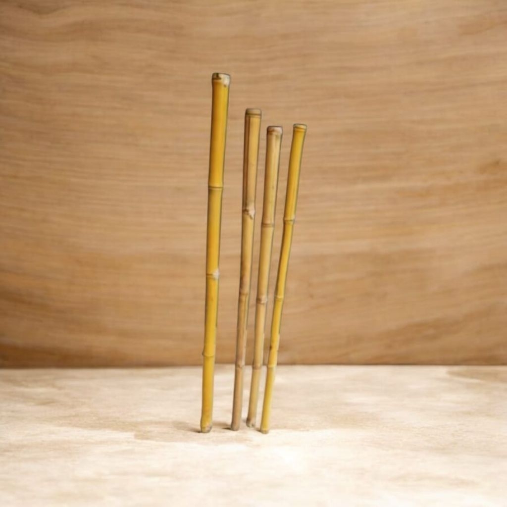 tongkat bambu kuning asli 1 meter