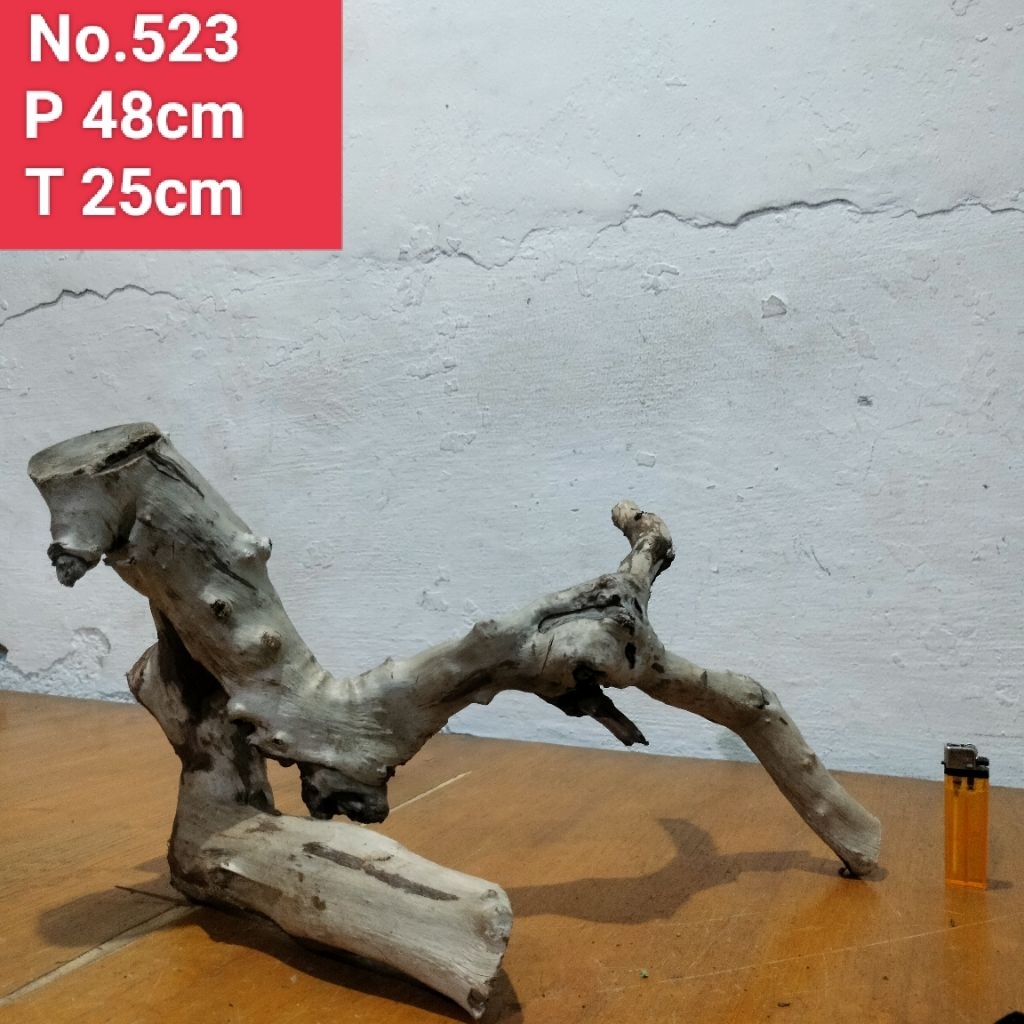 bonggolan akar santigi laut akar dekorasi aquarium aquascape 523