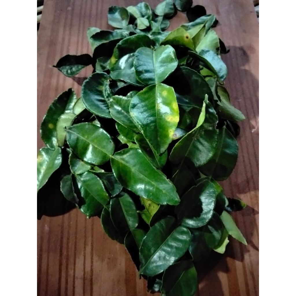 Daun Jeruk Purut Segar 1 Kg