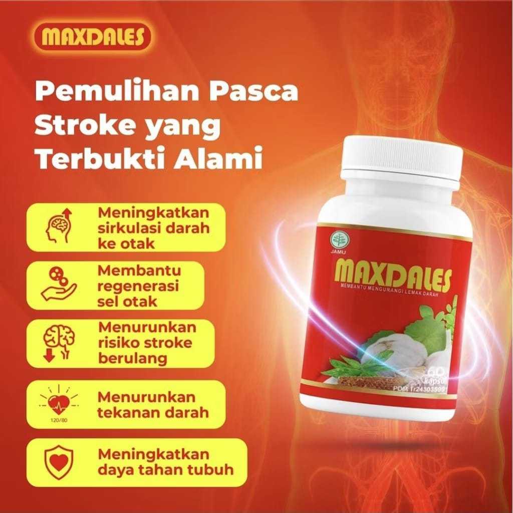 MAXDALES Asli Original Maxdales Obat Herbal Stroke Kolesterol Herbal BPOM Halal
