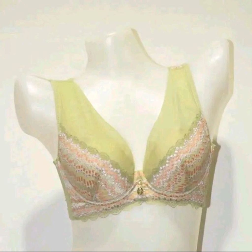 Bra Wanita Kawat Busa Tipis Cup C Bra Penutup Lemak kait 4  Size 32-40 Bh DW10065