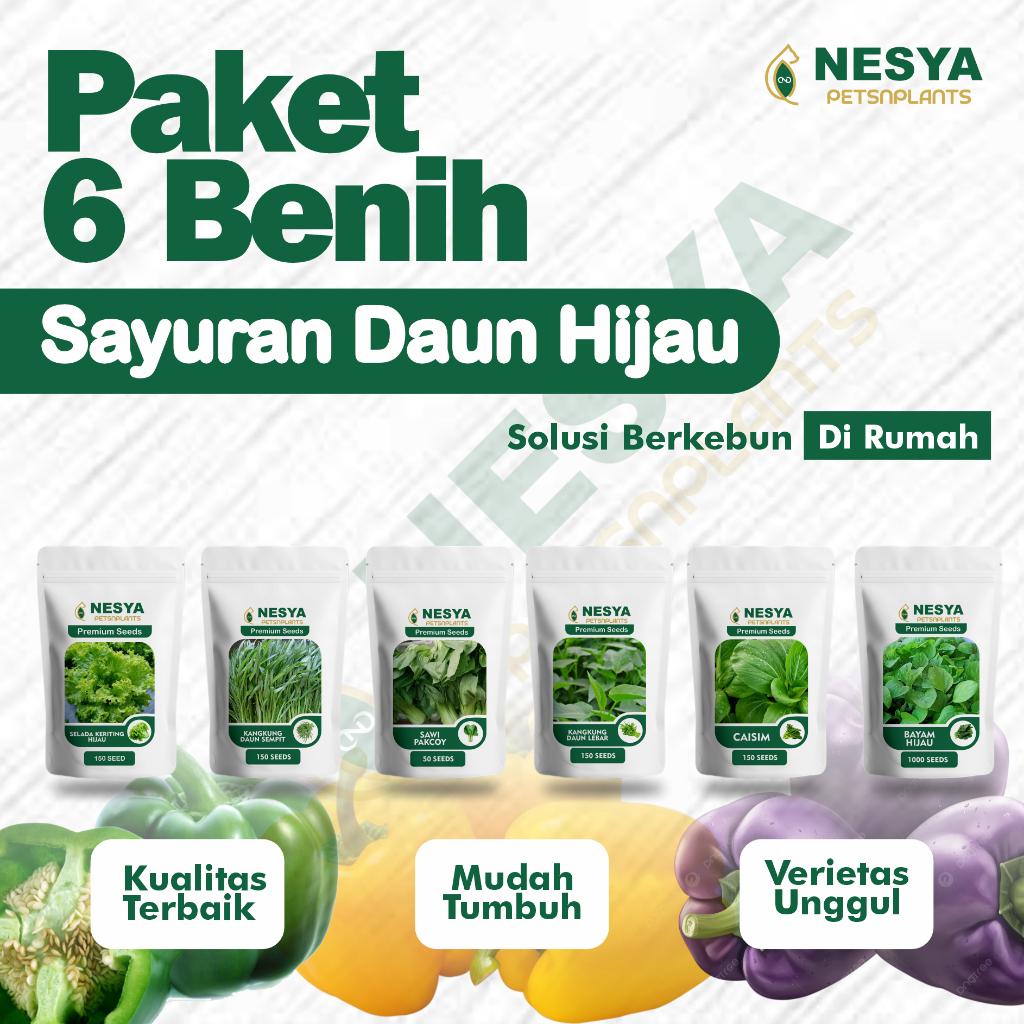 Paket 6 Benih Sayuran Daun Hijau - Paket Benih Sayur