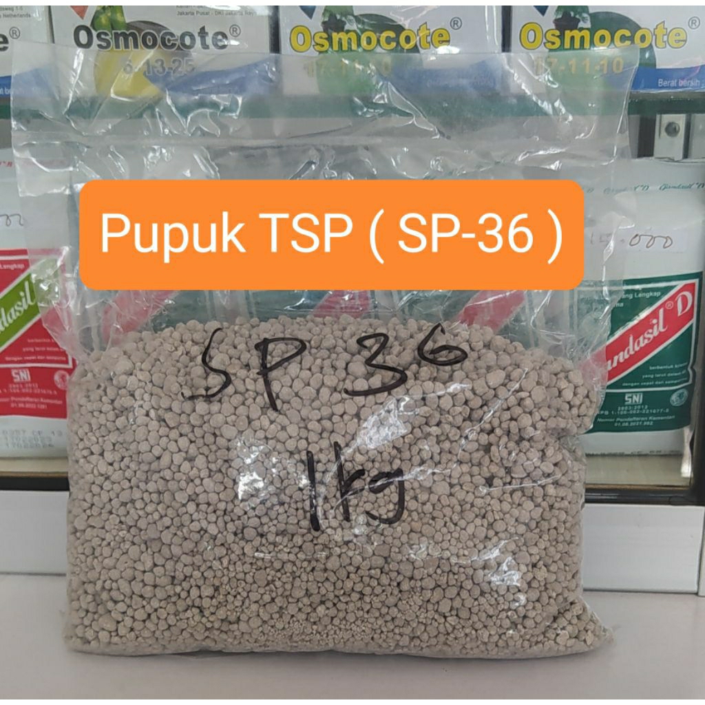 Pupuk TSP ( SP-36 ) 1 kg