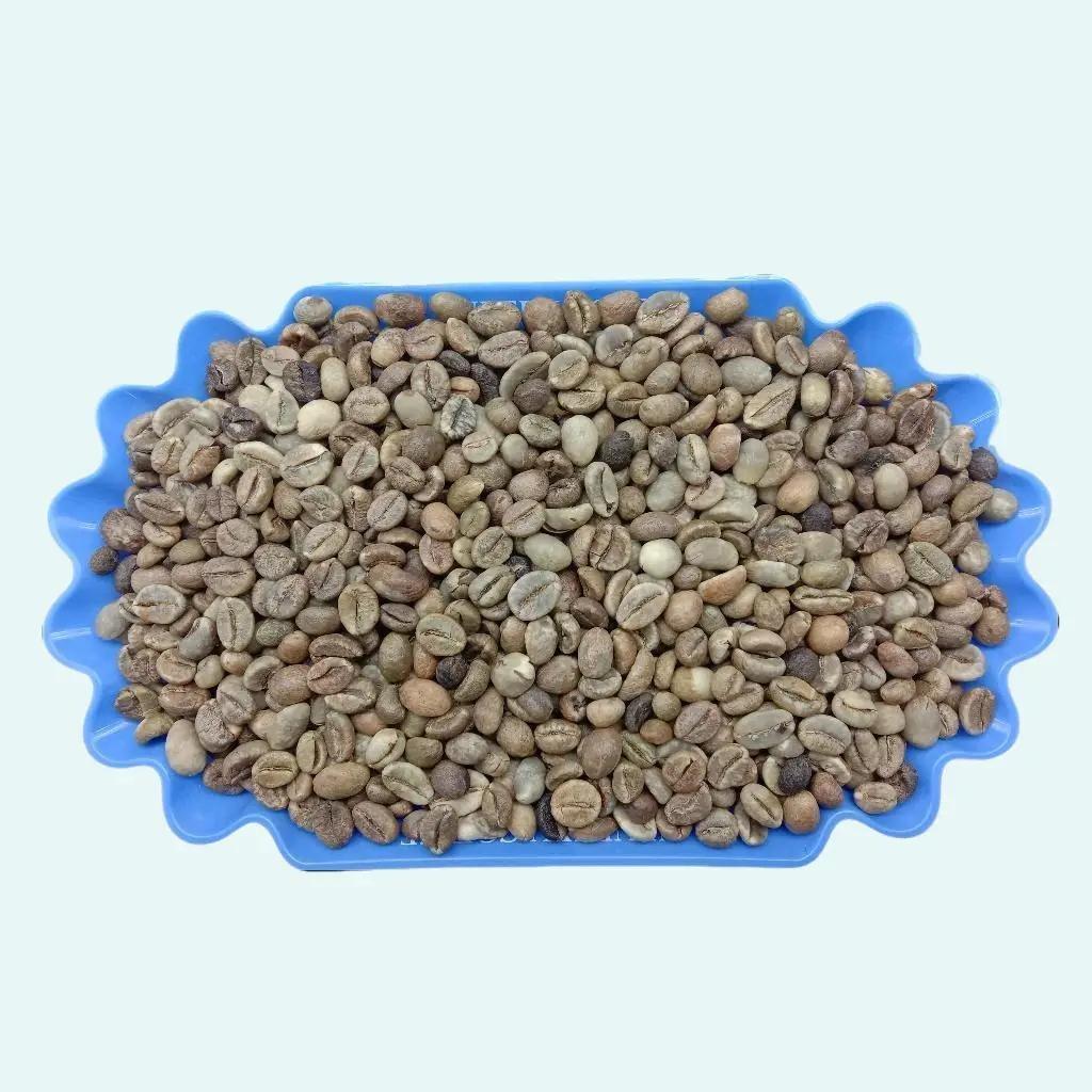 GRADE 3 ROBUSTA GREEN BEAN / BIJI KOPI MENTAH ROBUSTA LAMPUNG - 1 KG