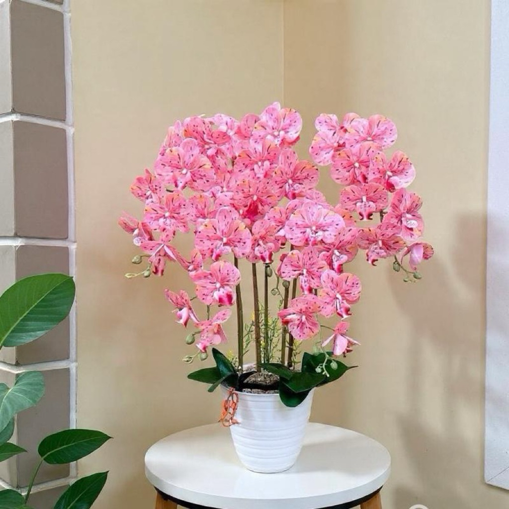 Anggrek Latex Jumbo 5 Cabang Pot PHIRUS Plastik Dekorasi Rumah minimalis modern
