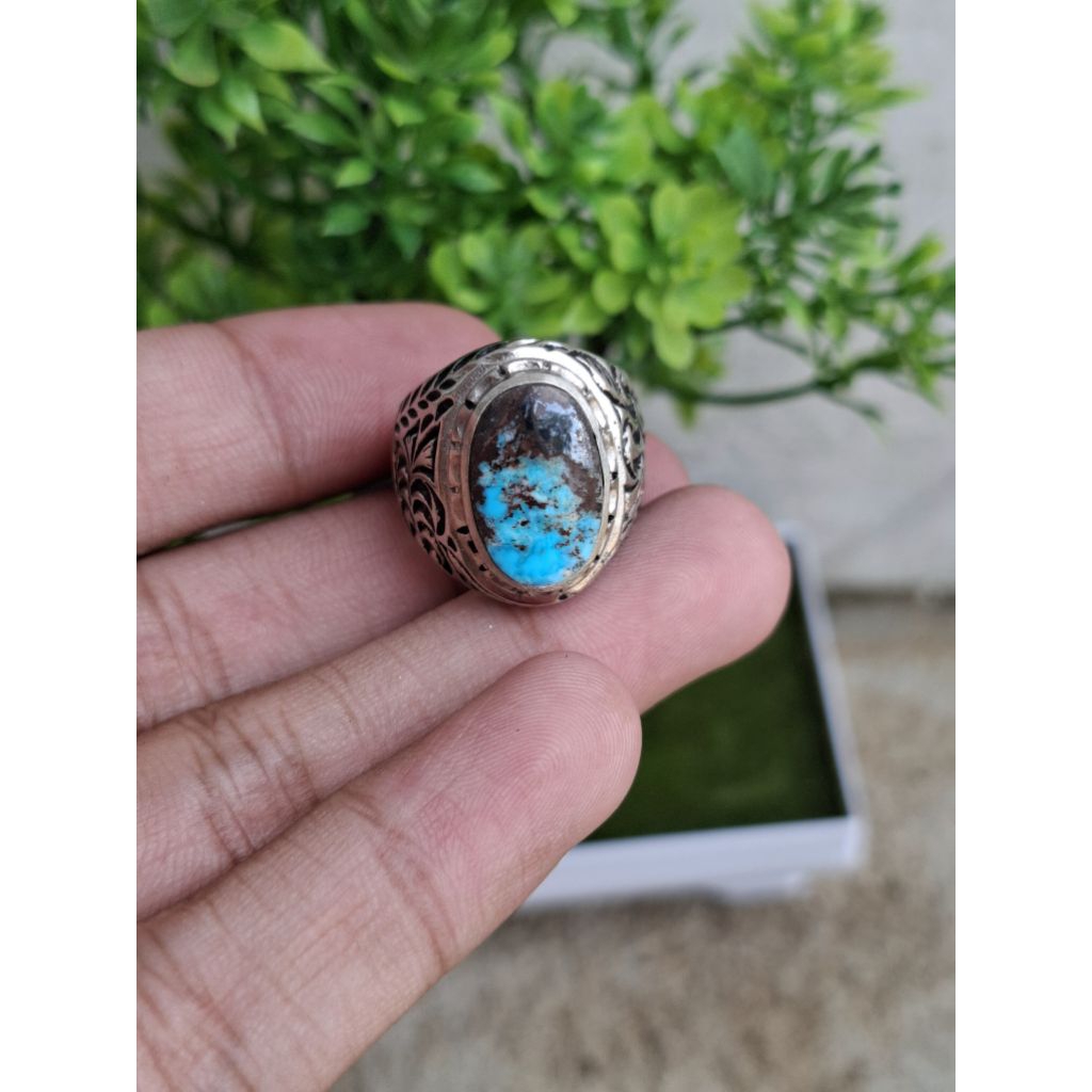 Pirus Persia Warna Biru Serat Merah