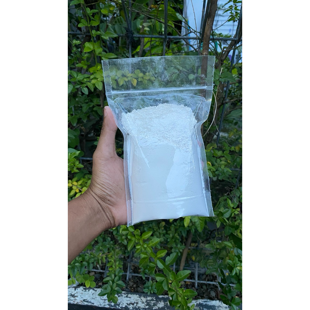 PASIR DOLOMIT ALAS LEOPARD GECKO