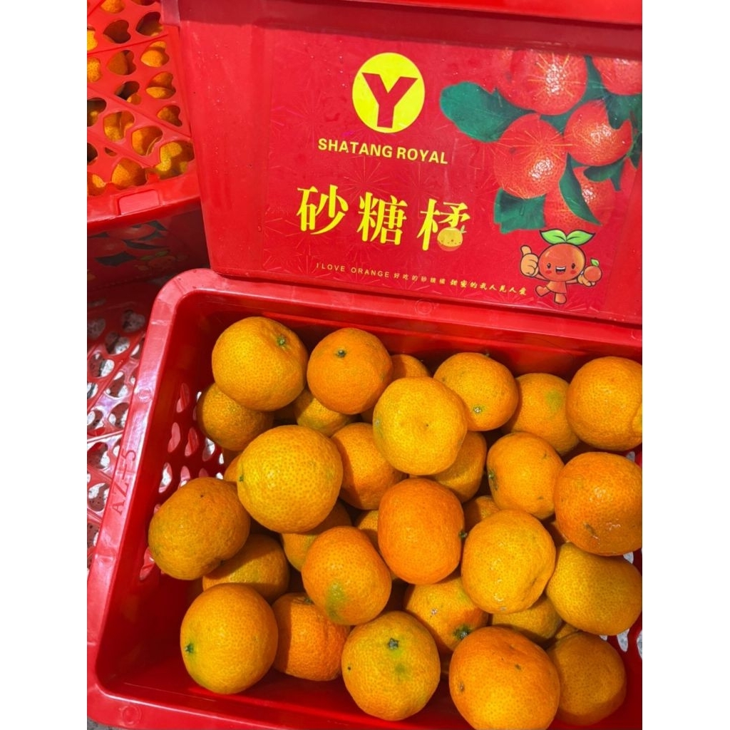Jeruk Shantang Royal Fuji 1 keranjang 2 kg buah hampers imlek
