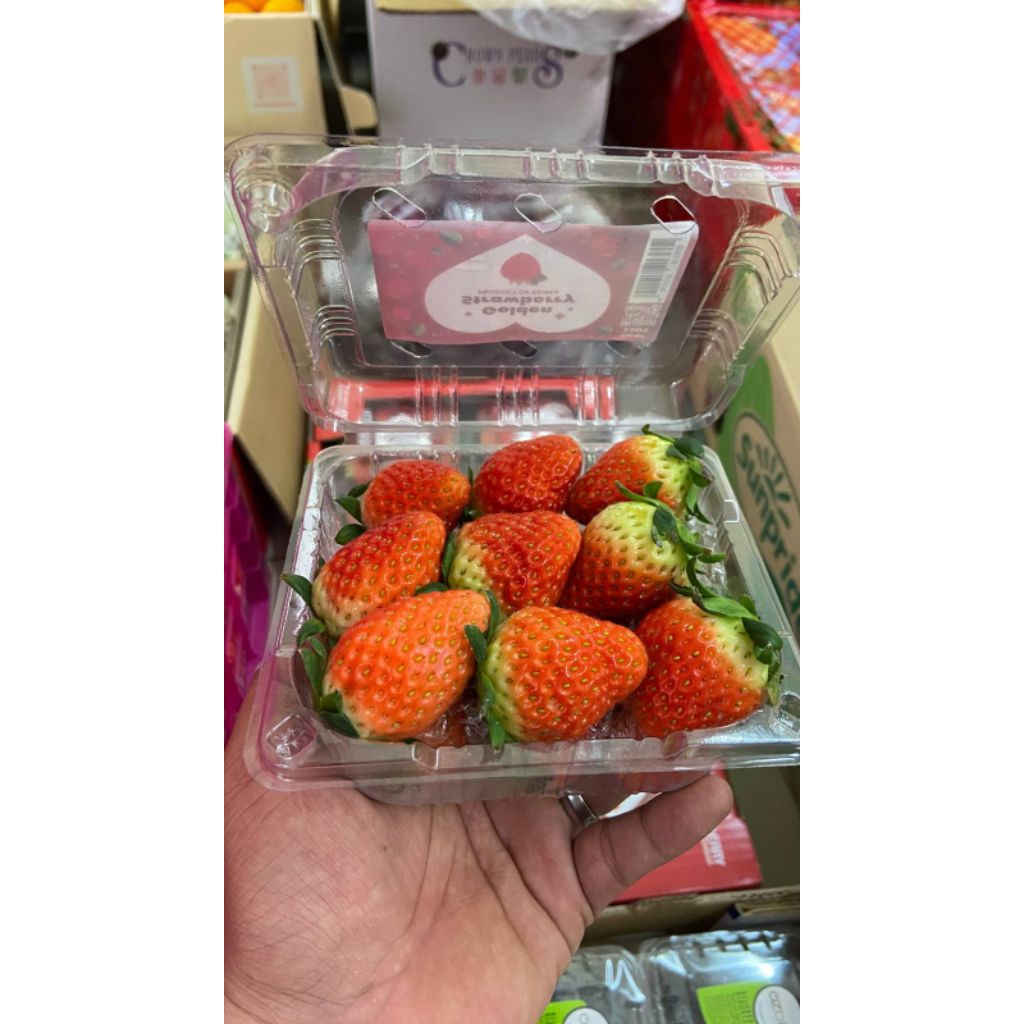 KOREAN STRAWBERRY/STRAWBERRY KOREA/STRAWBERRY IMPORT KOREA