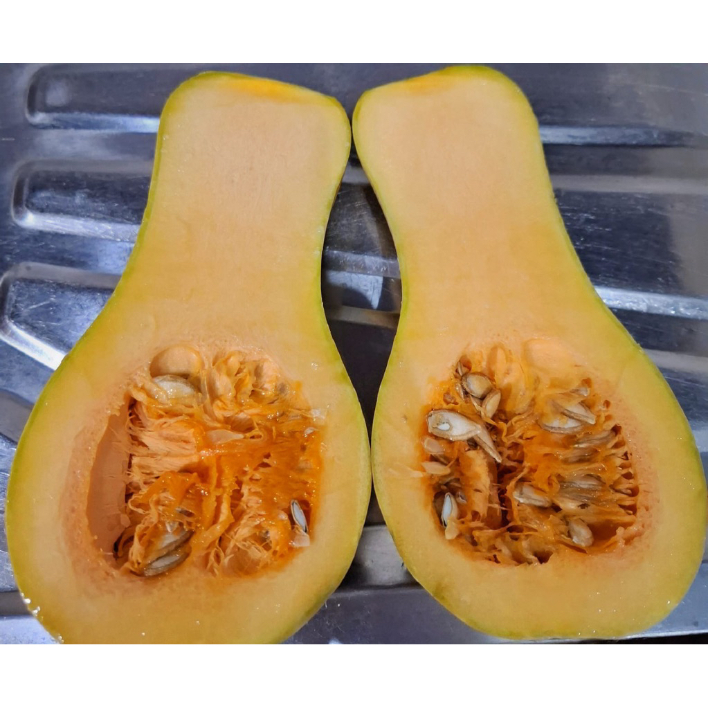 Labu Kuning Butternut Organik 1kg