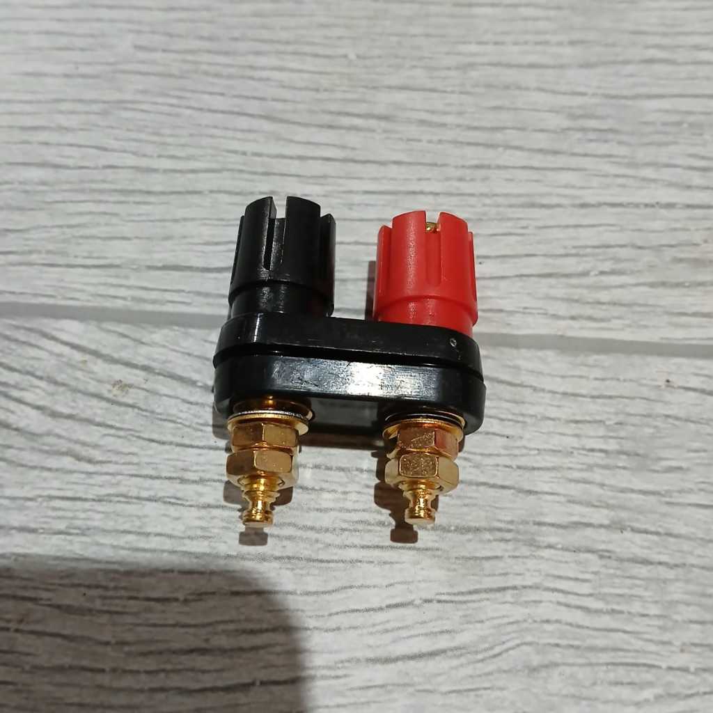 Binding post model BUILT UP POWER AMPLIFIER