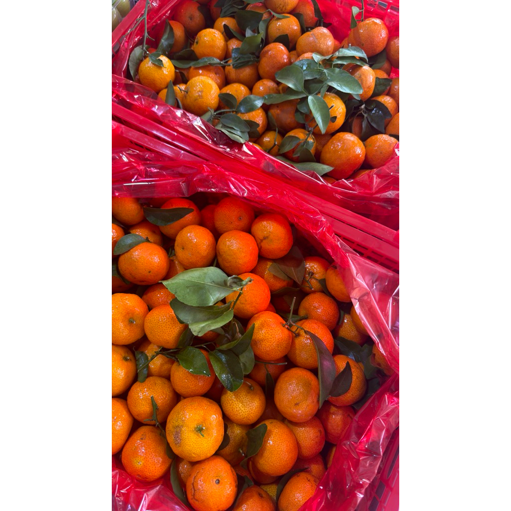 JERUK SANTANG BIRMA MANIS