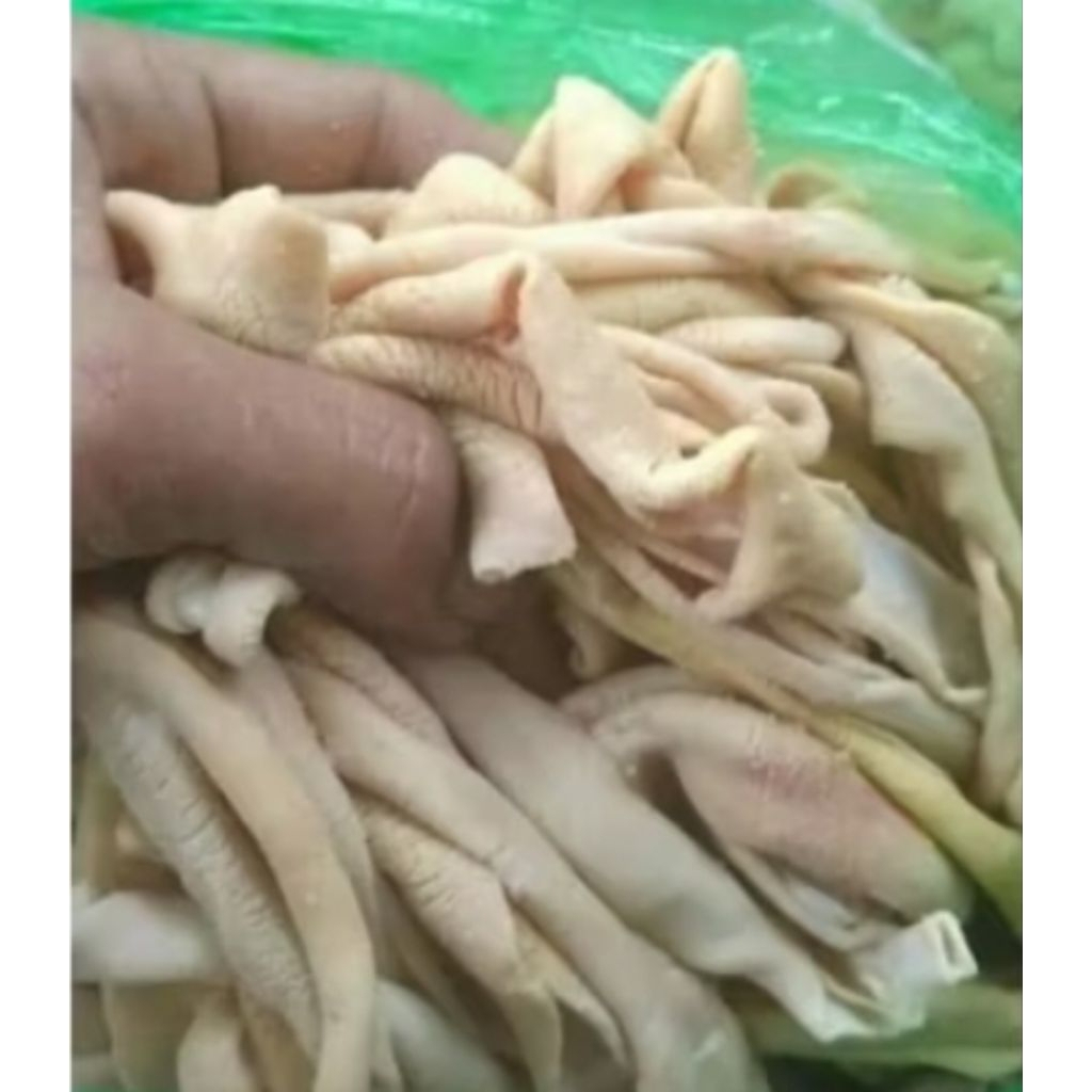 usus ayam mentah 1kg pasar murah samarinda