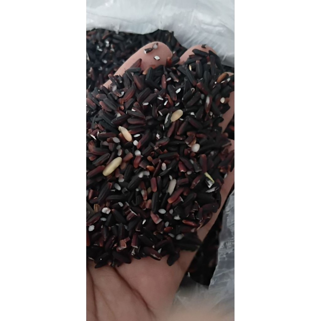 BERAS KETAN 20KG/BERAS KETAN HITAM KEMASAN 1KG