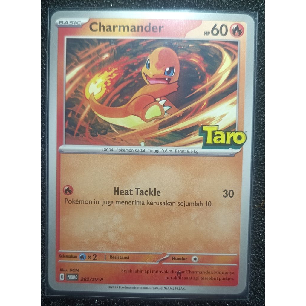 Pokemon X Taro - CHARMANDER