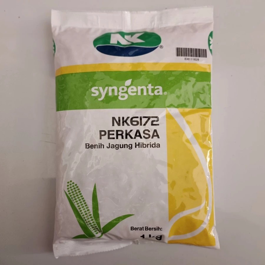 Benih JAGUNG HIBRIDA NK 6172 PERKASA 1KG #Bibit jagung #Jagung perkasa #Bibit nk perkasa